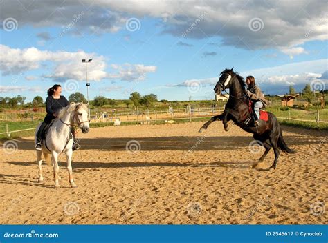 zofila con caballos|ᑕ ᑐ Mujeres penetradas por caballo .